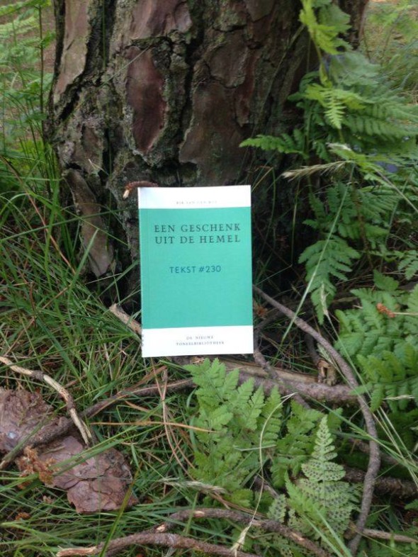 10334411_703714523022087_7910426199903214579_n